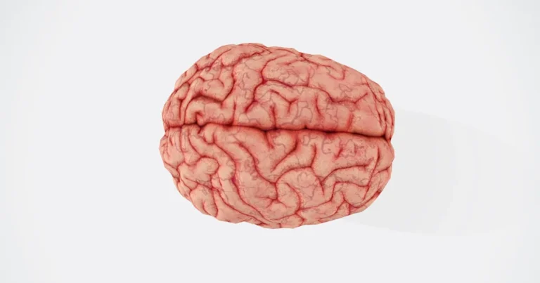 Featured image for What Are Mind Questions 15 Brain-Bending Queries to Unlock Your Thinking